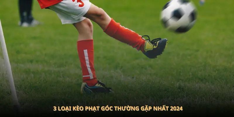 3 loại kèo phạt góc thường gặp nhất 2024