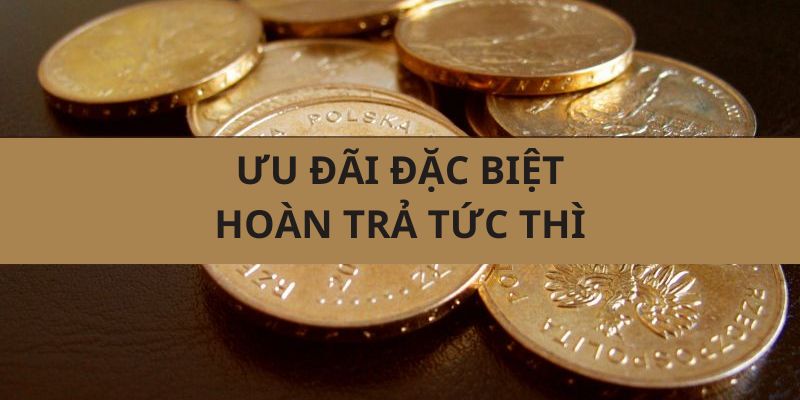 hoàn trả tức thì