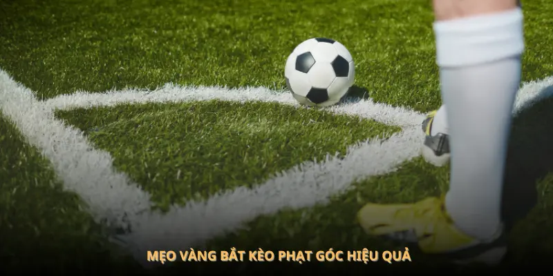 Mẹo vàng bắt kèo phạt góc hiệu quả