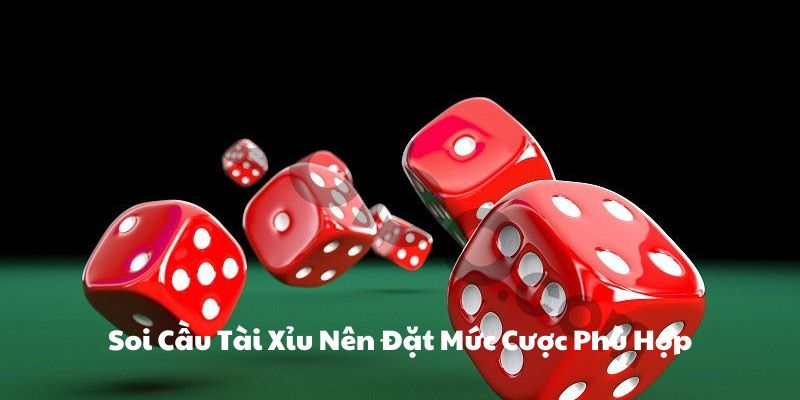 Đặt cược phù hợp với tài chính cá nhân khi soi cầu