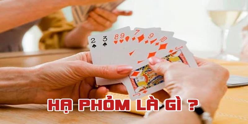 Các thuật ngữ thú vị giải mã Phỏm là gì