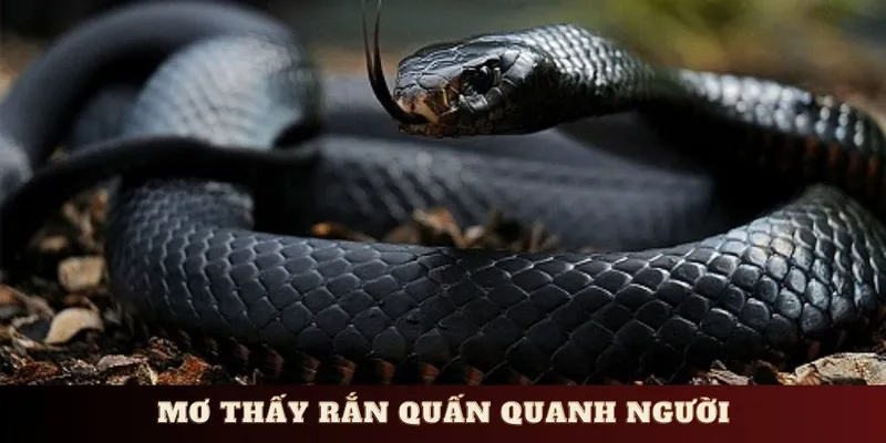 Giải mã việc mơ thấy rắn quấn quanh người